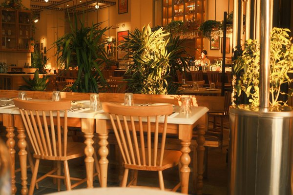 Descubra como a arte de apresentar pratos transforma a sua experiência gastronômica!